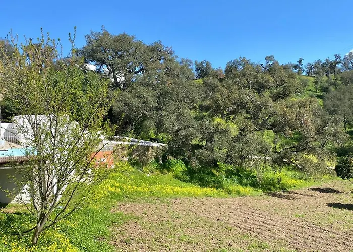 Casa Ti Barbara Cachopo (Faro)